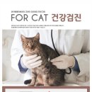 온아동물의료센터 이미지