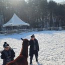 윤우목장 네이버블로그