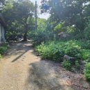 당산나무민박 이미지