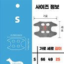레브네일 이미지