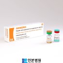 인본병원 | 부천 대상포진 최저가⚡ 싱그릭스 예방접종💉 인본병원에서
