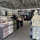 강남별이 이미지