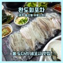 완도의 맛집 | 광주 월산동 맛집 완도회포차, 제철 맞은 꼬들한 봄 도다리 세꼬시 후기