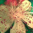 일맥한의원 더영의원 | 주차부터 예약까지 편리한 강북안정한의원, 몸도 마음도 편안해지는 곳!