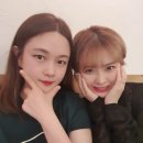 청춘연어 이미지