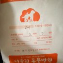 서서울동물병원 | 서울 햄스터 동물병원 농양 제거 금액 후기