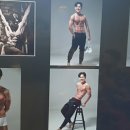바디업헬스 이미지