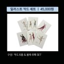 한수원문화가있는날-국립발레단 | 국립발레단 예술의전당 25년 호두까기 인형 후기, 줄거리, 유니버셜발레단 마포아트센터 비교