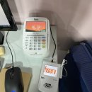 486 Dogcamp 이미지