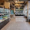 야옹아 멍멍해봐 이미지