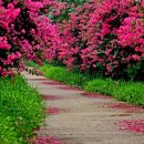 창신대학교 부동산대학원 이미지