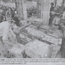 쑥나라