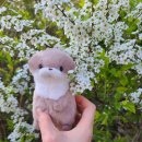 22.04.15 효달이 일기