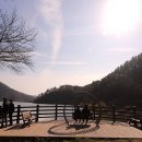 달창저수지 이미지