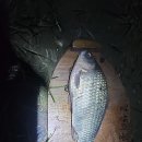 청도천9 이미지