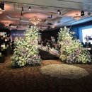 내 품 안의 반려견 마포점 | 서울 호텔 예식 마포 서울가든호텔 웨딩홀 27년 예식 견적 리얼 후기