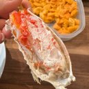 비소(조)-호-21 | 삿포로 가족 여행 항공권 4박 5일 일정 총정리