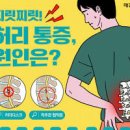 허리가 아파요 허리통증 원인 방법 이미지