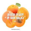 영어회화독학, 해커스 영어회화 제나 선생님 강의 후기 [1주차]
