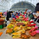 주식회사 물마루 이미지