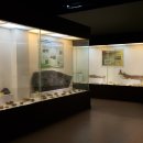 창조자연사박물관 이미지