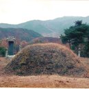 오자경 묘 Daum카페