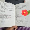 샷츠하우스