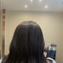 모스트 헤어(Most Hair)