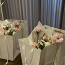 잇츠플레르