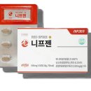 외검경로당 | 니프젠 스파이크 내돈내산 후기 효능 가격 복용법 완벽 가이드