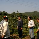 다복골농장 이미지