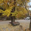 연천명소코스 이미지