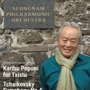 성남시립교향악단 제206회 정기연주회 이미지