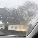 고고크라운 | 제주 송훈쉐프의 크라운돼지 방문 내돈내산 후기