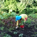 영천고추방앗간 이미지