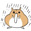 네일노니 이미지