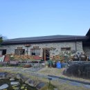 달맞이흑두부 이미지