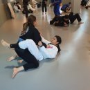 기장주짓수아카데미 이미지