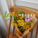 메종드슬로비 이미지