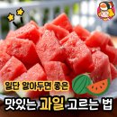 올리에프앤비 디너의 여왕