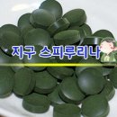 지구스피루리나 - 진주시 | 지구스피루리나