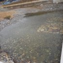 정선 국민여가캠핑장 이미지