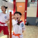 맑은누리태권도 이미지