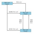 노드 이미지