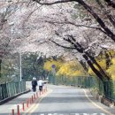 남산그린슈퍼 이미지