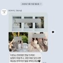 고효 | W13 웨딩 촬영 스튜디오 서브 아이폰 스냅 GOHYO고효 스냅 촬영 후기