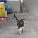 화천시장가동 이미지