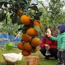 성찬농원 이미지