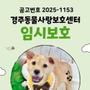 여울 - 영등포구 영등포로47길 11-1 | 여울