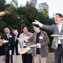수원-정자-정자-8 이미지